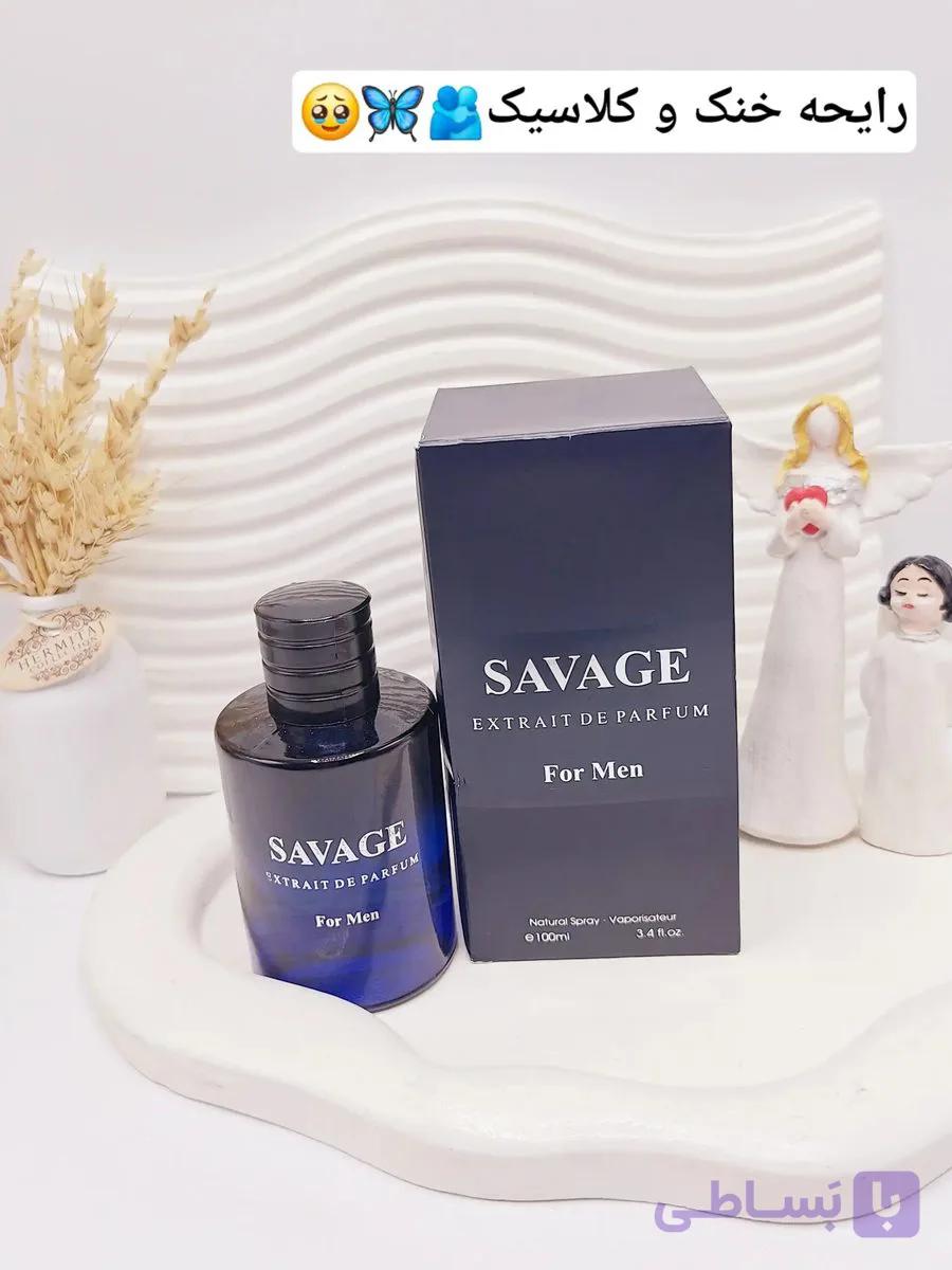 ادکلن مردانه SAVAGE حجم 100 میل ساخت امارات کد 8597 — تصویر 1