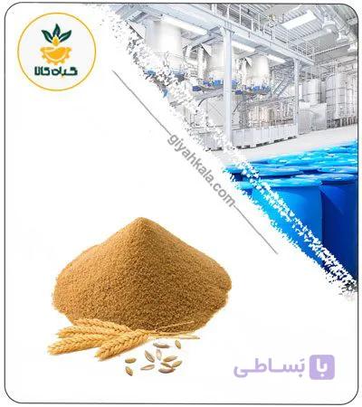 عصاره جو پرک خشک یا پودری — تصویر 1
