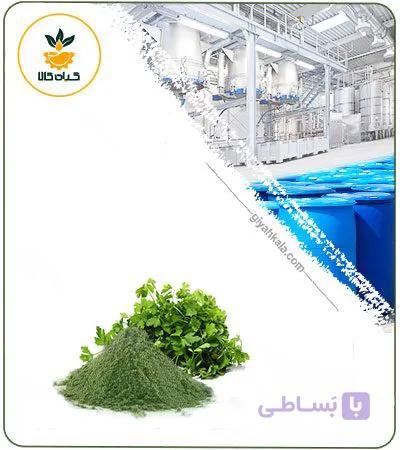 عصاره گیاه جعفری خشک یا پودری — تصویر 1