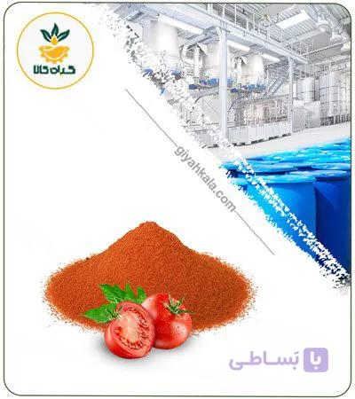 عصاره گوجه فرنگی خشک یا پودری — تصویر 1