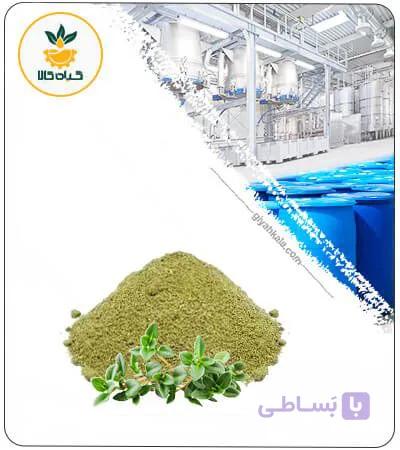 عصاره آویشن شیرازی خشک یا پودری — تصویر 1