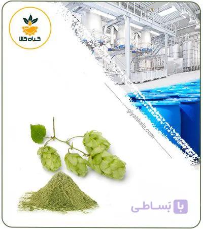 عصاره رازک خشک (پودری) — تصویر 1