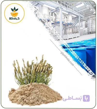 عصاره پوست اسفرزه خشک یا پودری — تصویر 1