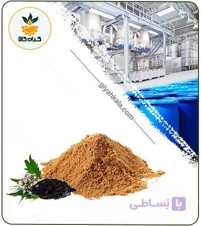 عصاره سنبل الطیب خشک (پودری) — تصویر 1