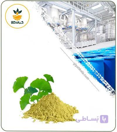 عصاره جینکو بیلوبا خشک (پودری) — تصویر 1
