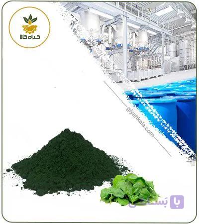 رنگ خوراکی سبز پودری — تصویر 1