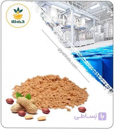 عصاره بادام زمینی خشک یا پودری — تصویر 1