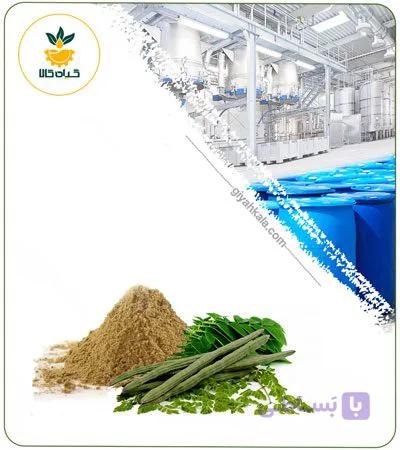 عصاره مورینگا خشک یا پودری