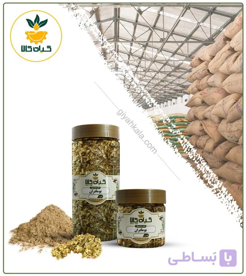 گیاه ریحان خشک یا پودری بسته بندی — تصویر 1