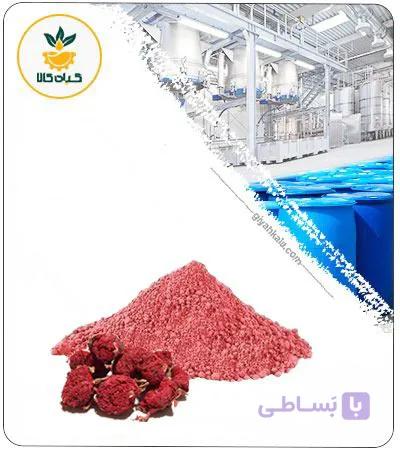 عصاره گلنار فارسی خشک (پودری) — تصویر 1
