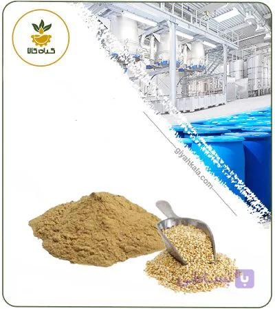 عصاره کینوا خشک یا پودری — تصویر 1