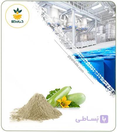 عصاره کدو سبز خشک یا پودری — تصویر 1