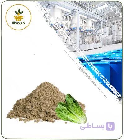 عصاره کاهو خشک یا پودری — تصویر 1