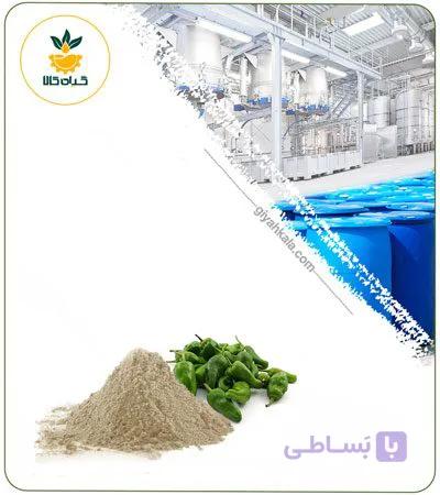 عصاره فلفل سبز خشک یا پودری — تصویر 1