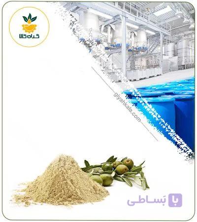 عصاره برگ زیتون خشک یا پودری — تصویر 1