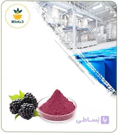 عصاره تمشک خشک یا پودری — تصویر 1