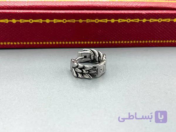 پیرسینگ گوش پنجه اژدها — تصویر 1