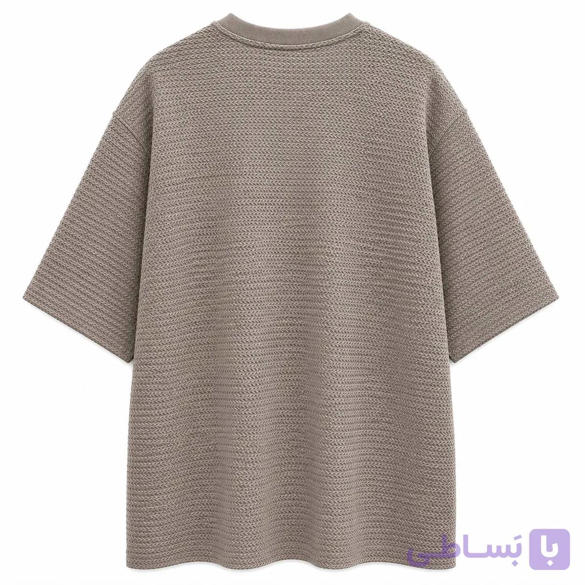 تیشرت بیسکویتی مردانه zara