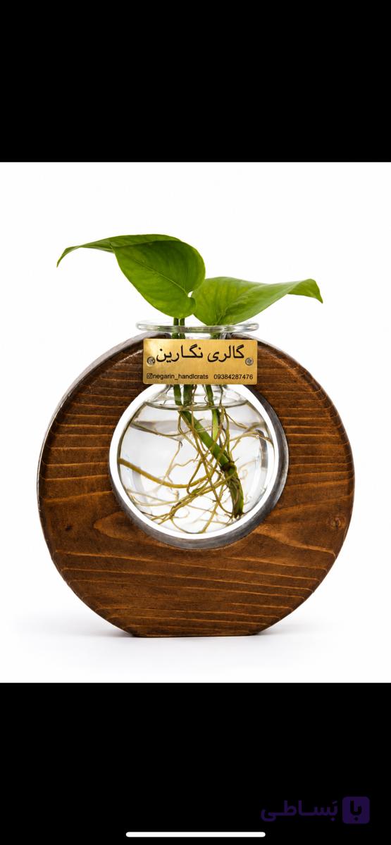 گلدان پتوس با قاب چوبی