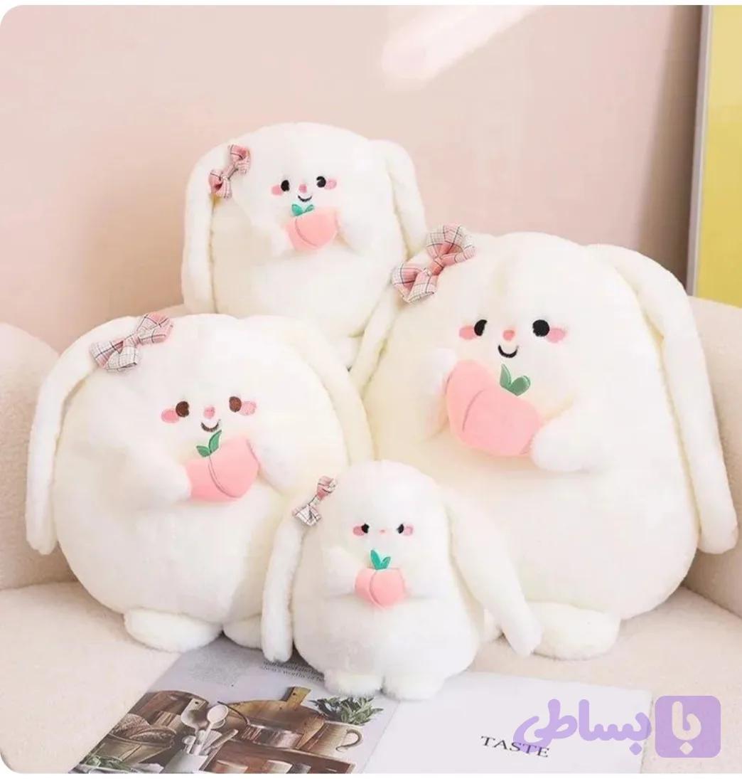 خرگوش هلو به دست