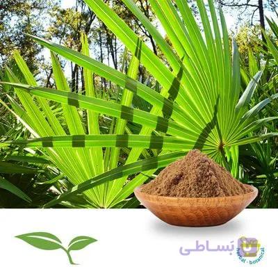 عصاره نخل اره ای