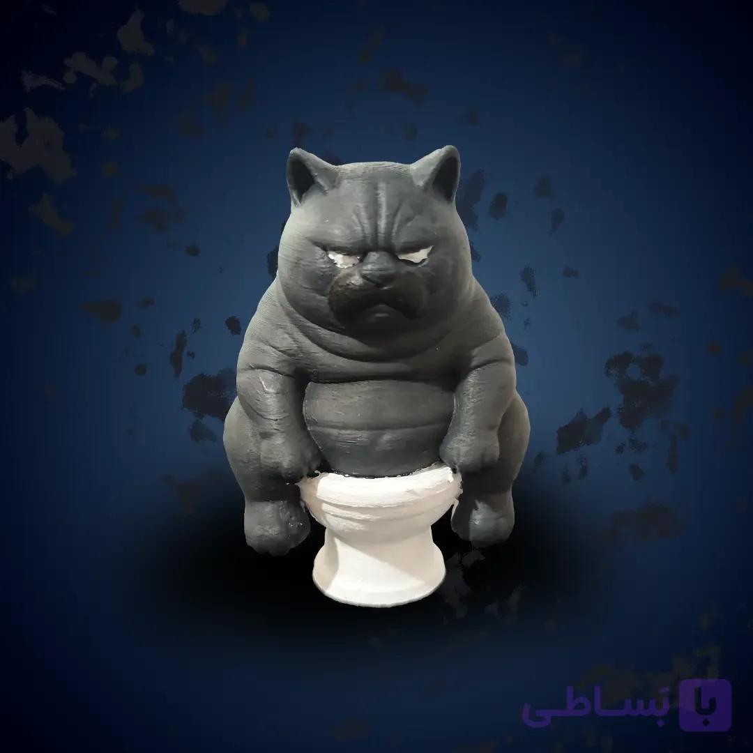 فیگور گربه چاق روی دستشویی — تصویر 1