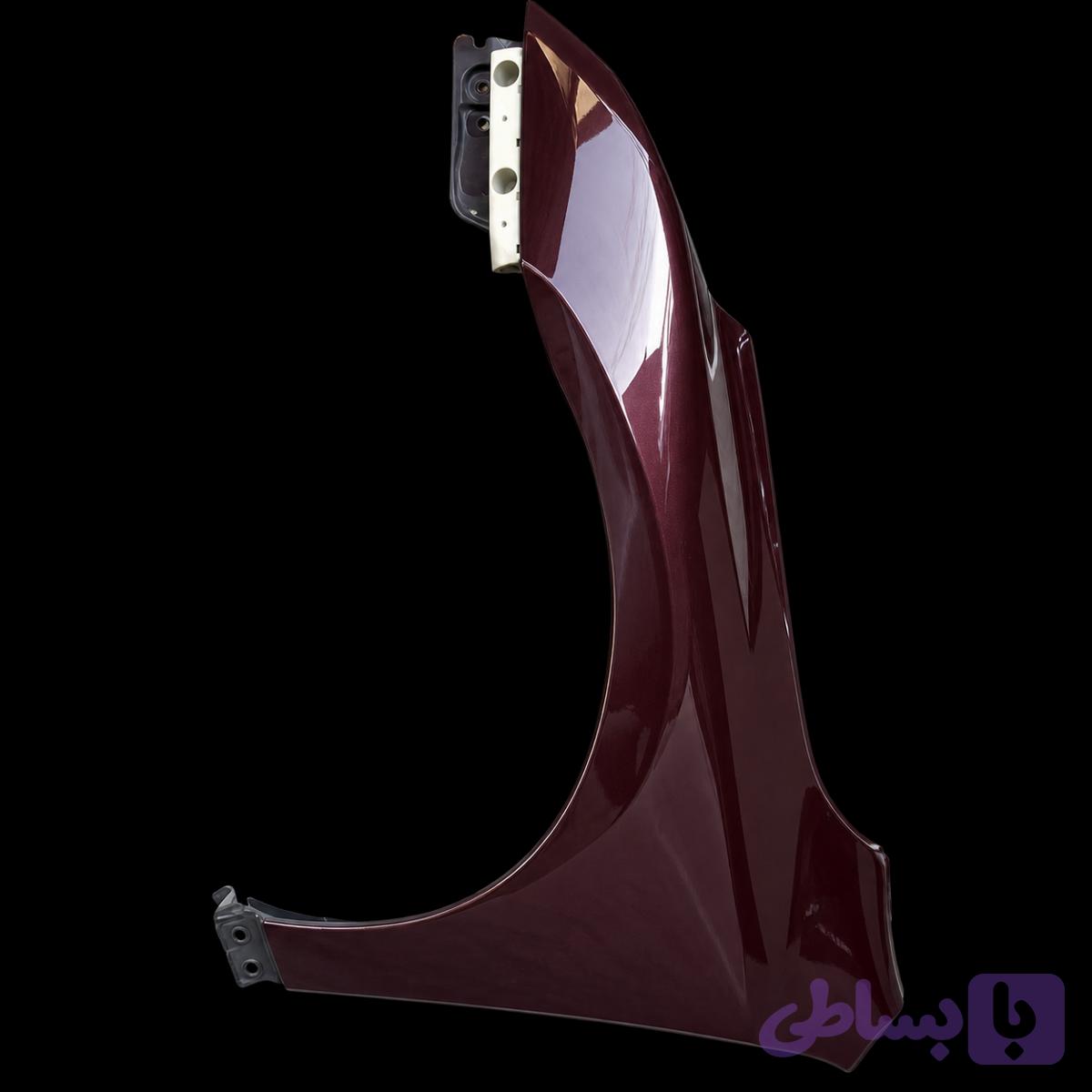 گلگیر چپ راست تیانا — تصویر 1