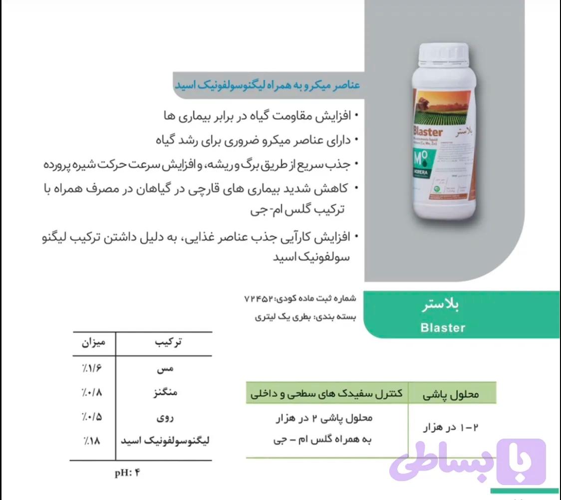 بلاستر