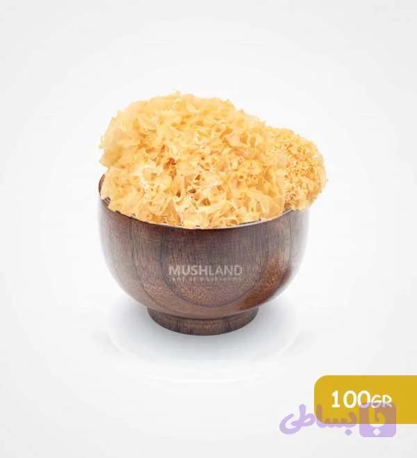 قارچ ترملا 100 گرم