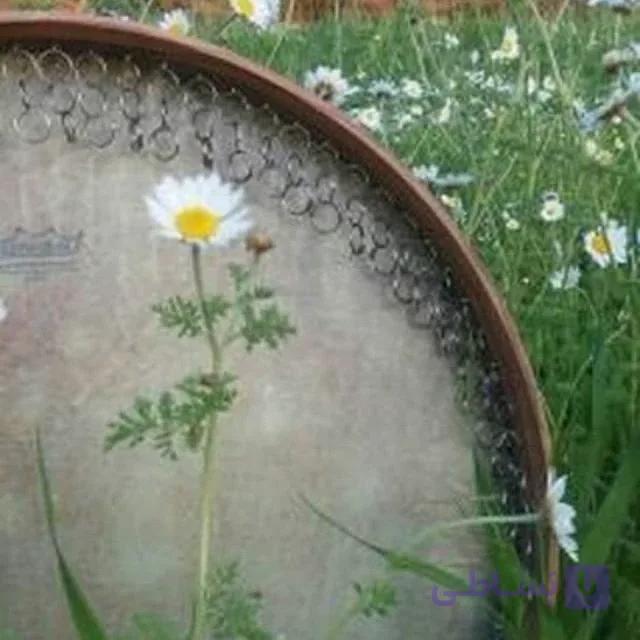 دف سما (رمو قدیم) به همراه کاور مرغوب فوم دار به همراه یک جلسه کلاس آموزش آنلاین — تصویر 1