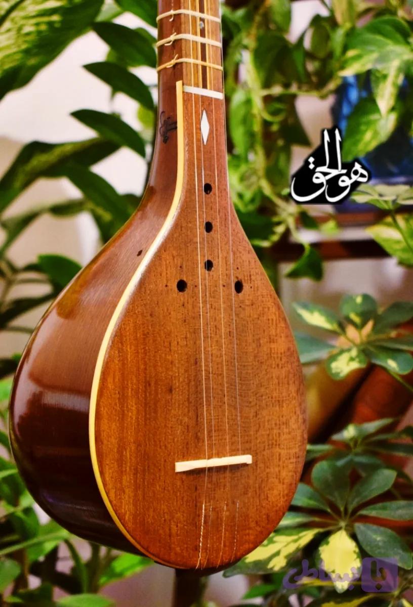 سه تار الگو هاشمی کاسه متوسط دهانه ۱۵ (فوفل)