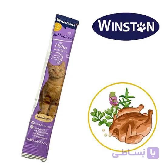 بستنی گربه وینیستون طعم مرغ