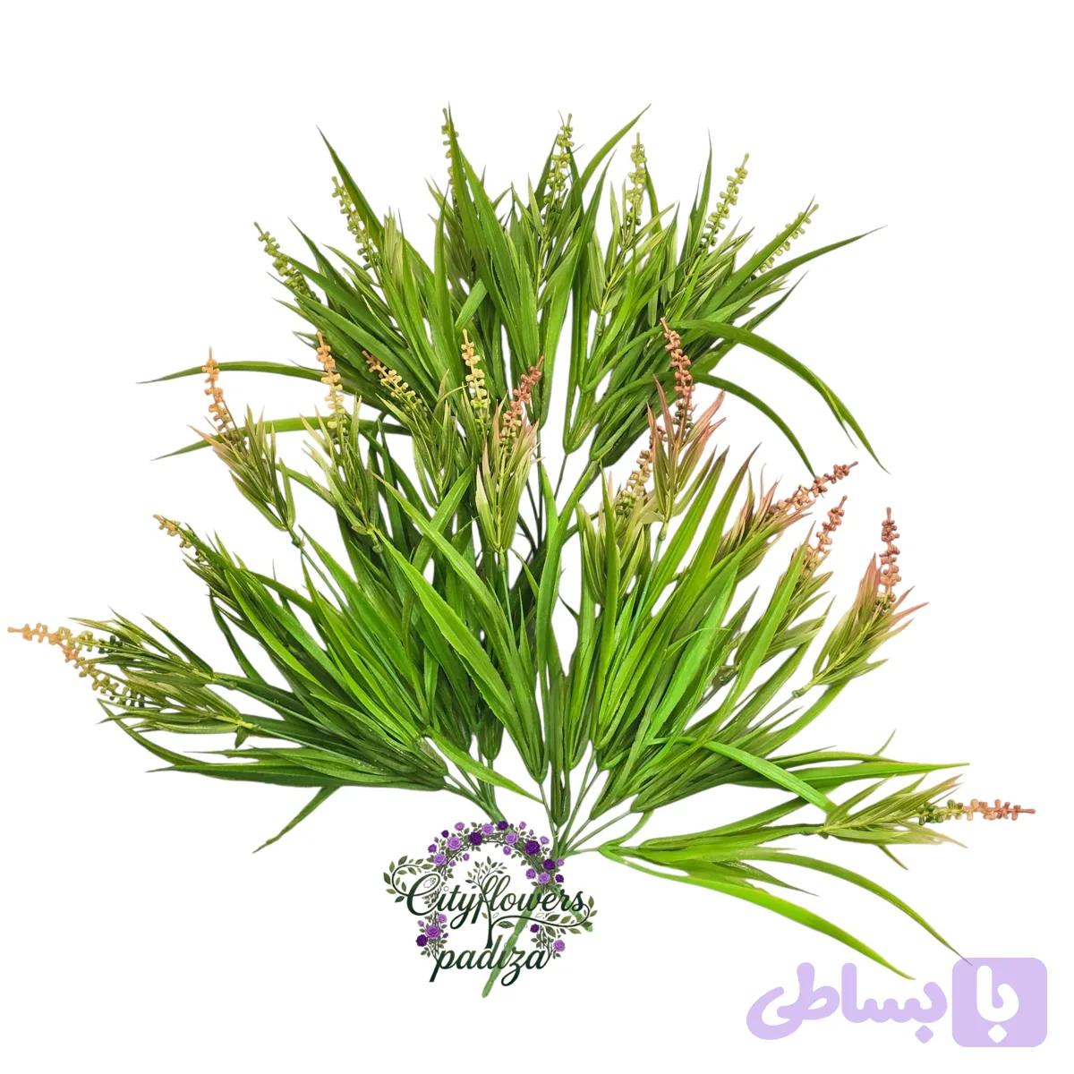 بوته گندم