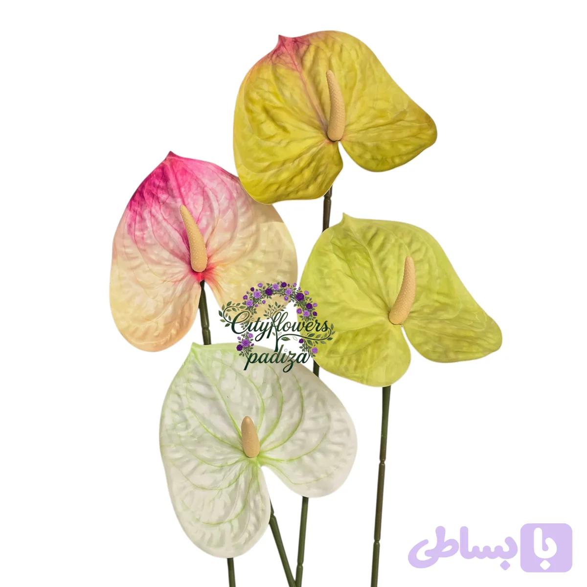 شاخه آنتوریوم لمسی — تصویر 1
