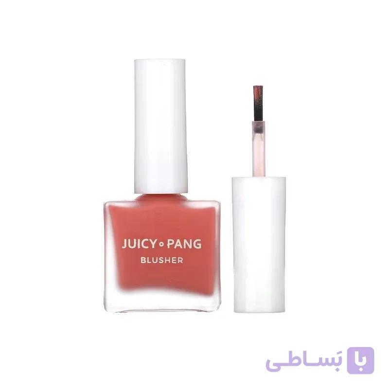 رژگونه آبرسان جویسی پنگ آپیو، 8 گرم — تصویر 1