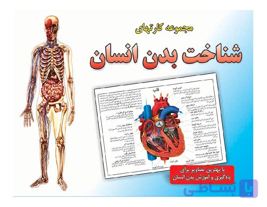 مجموعه کارت شناخت بدن انسان — تصویر 1
