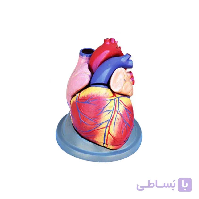 مولاژ قلب، 6 قسمتی — تصویر 1