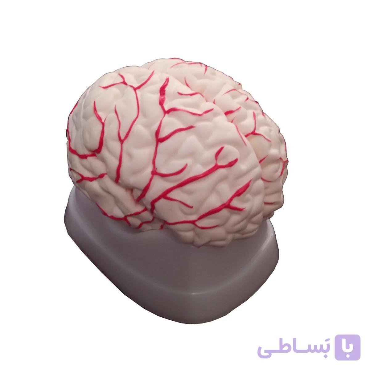 مولاژ مغز (8 قسمتی) — تصویر 1