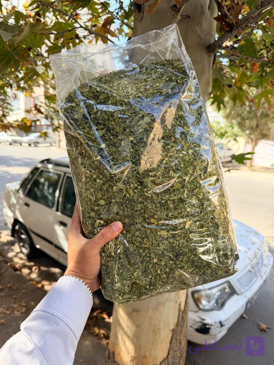 گیاه مورینگا 1 کیلویی آقای زعفران — تصویر 1