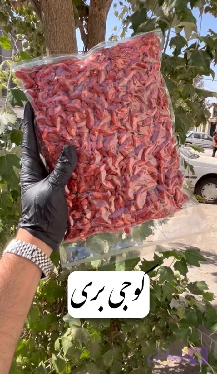 گوجی بری کانادایی — تصویر 1