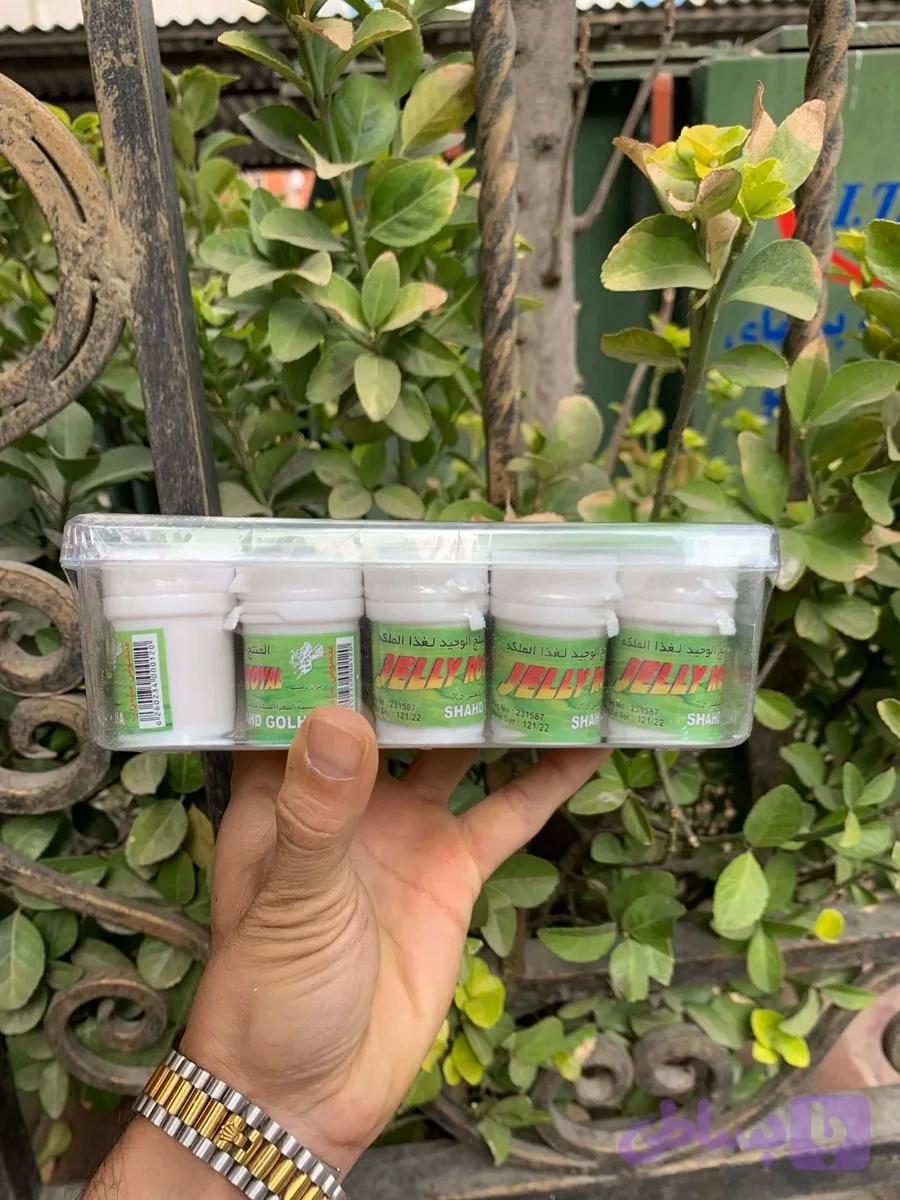 عسل ژل رویال (غذا ملکه) درجه یک – 15 عددی — تصویر 1