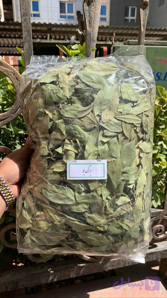 برگ بو اعلا 1 کیلویی
