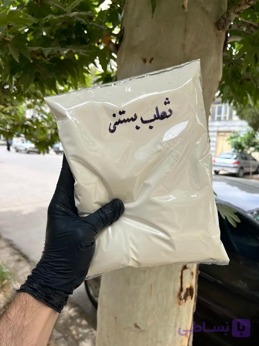 ثعلب بستنی 1 کیلویی