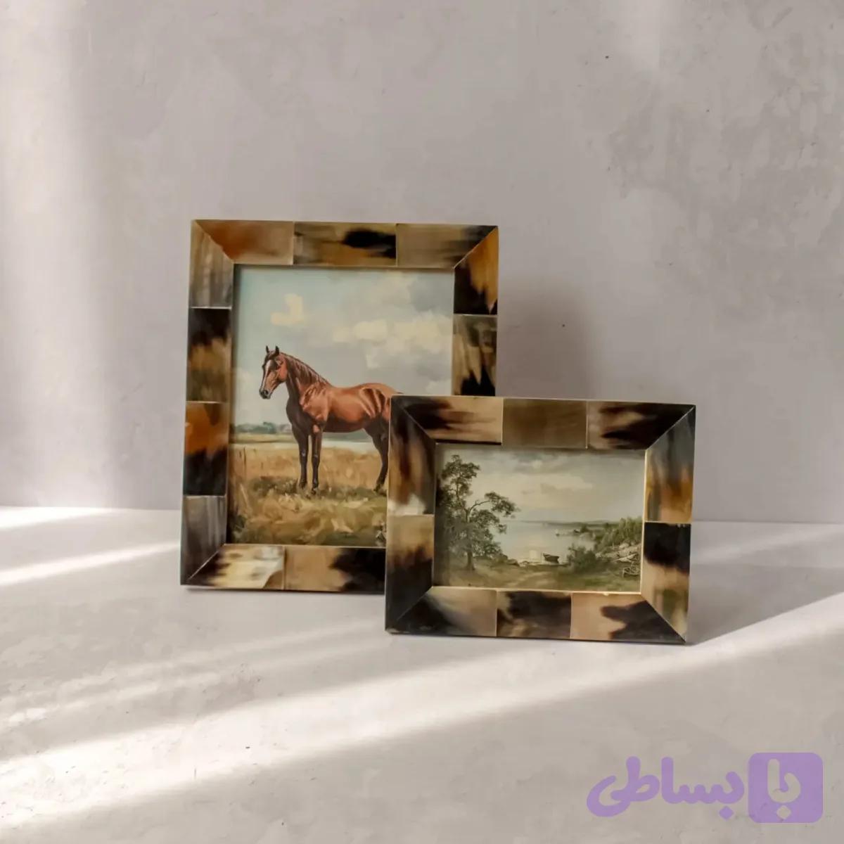 قاب عکس شاخ