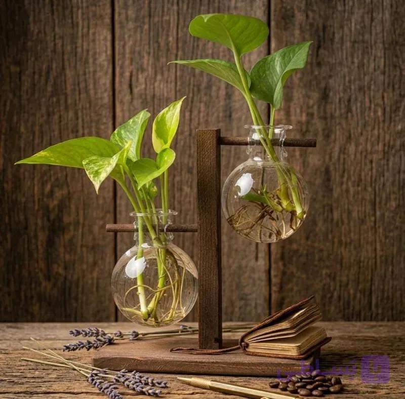 استند چوبی قلمه با دو گلدان حباب شیشه‌ای آویز