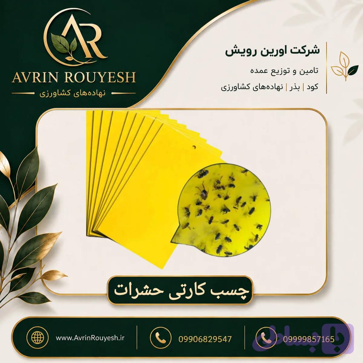 چسب کارتی حشرات