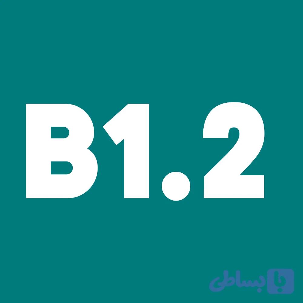 دوره آنلاین آموزش آلمانی خصوصی B1.2