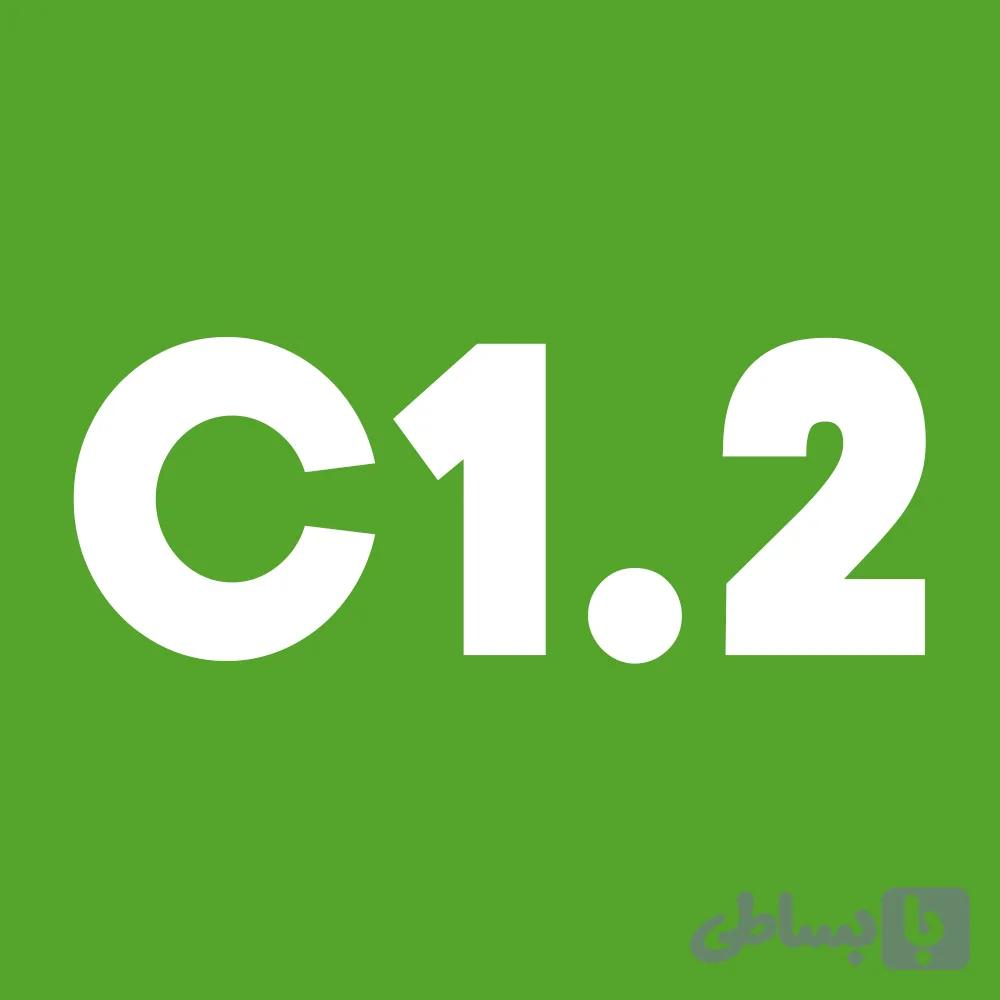 دوره آنلاین آموزش آلمانی خصوصی C1.1