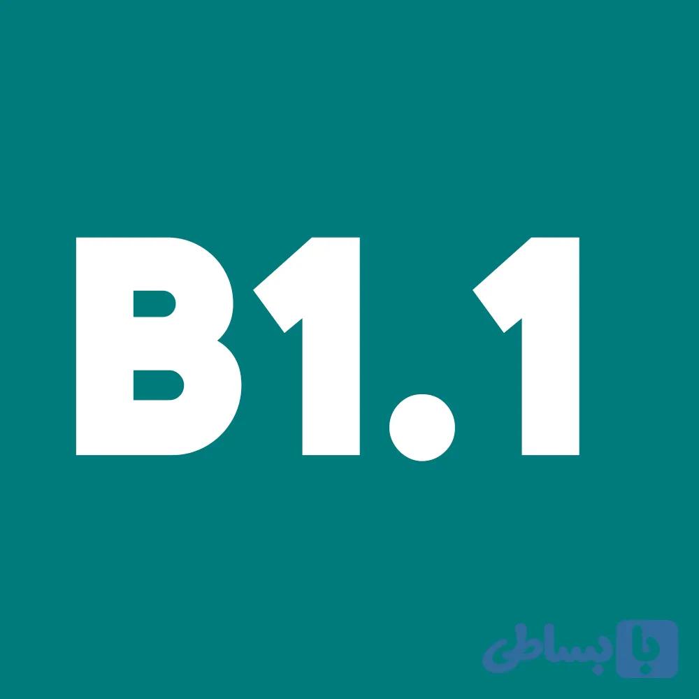 دوره آنلاین آموزش آلمانی خصوصی B1.1