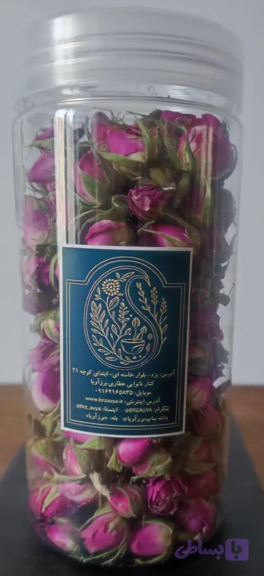 غنچه گل سوری(سرخ) ایرانی